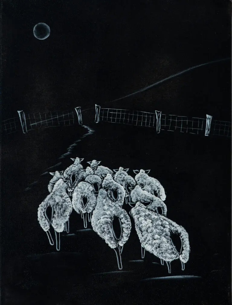 Sheep walking on a dark night