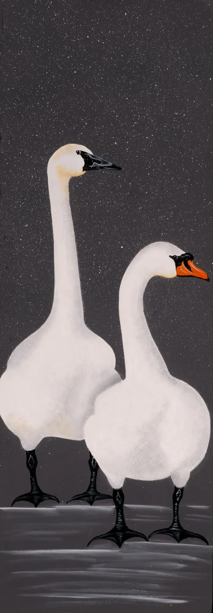 Illustration of two white swans