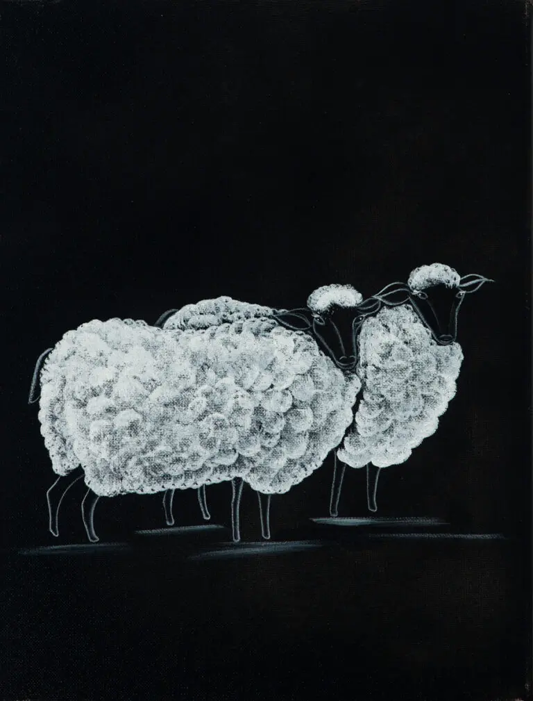 Sheep illustration on a dark background