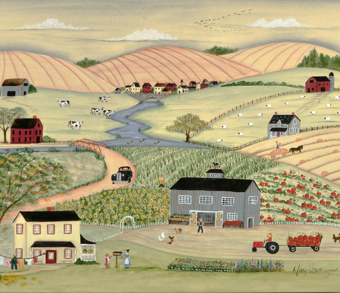 Rural landscape with farms and fields